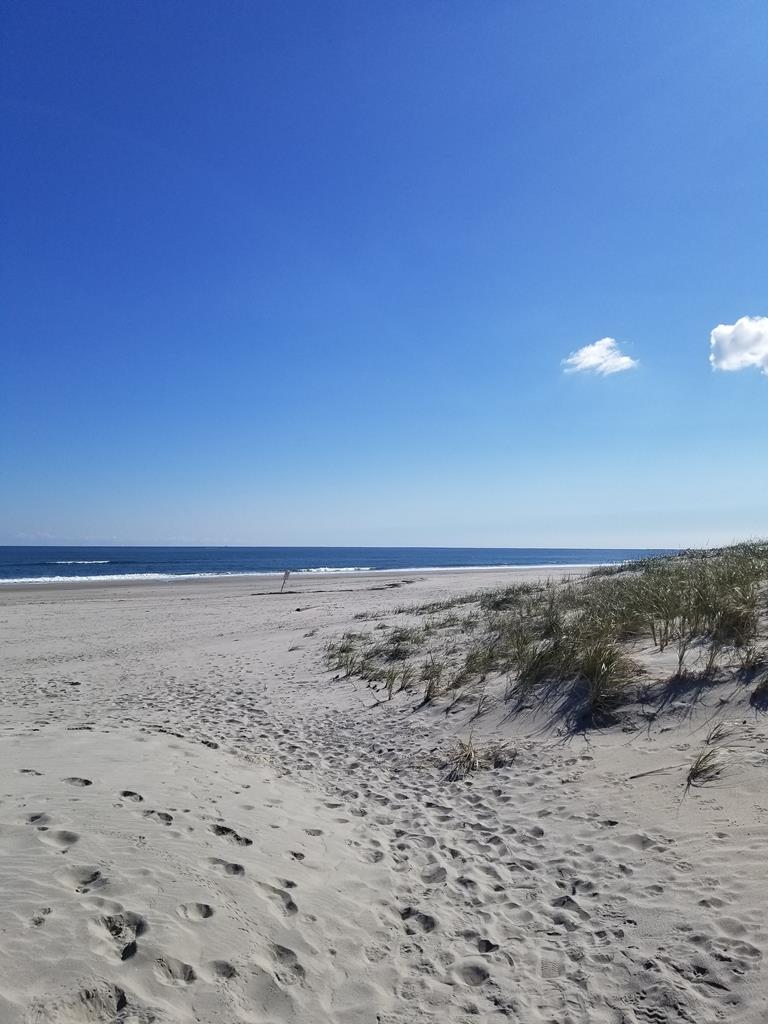 7204 Pleasure Avenue, Sea Isle City (Beach Block)