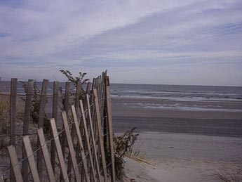 3901 Pleasure Avenue, Sea Isle City (Beach Front)