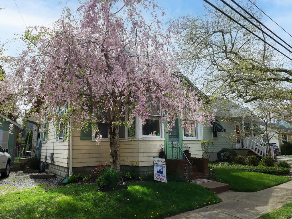 Pet Friendly Cottage - 1238 Lafayette | Photo 3