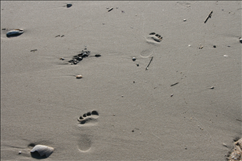 6 E. 25th Street, Spray Beach (Ocean Side)