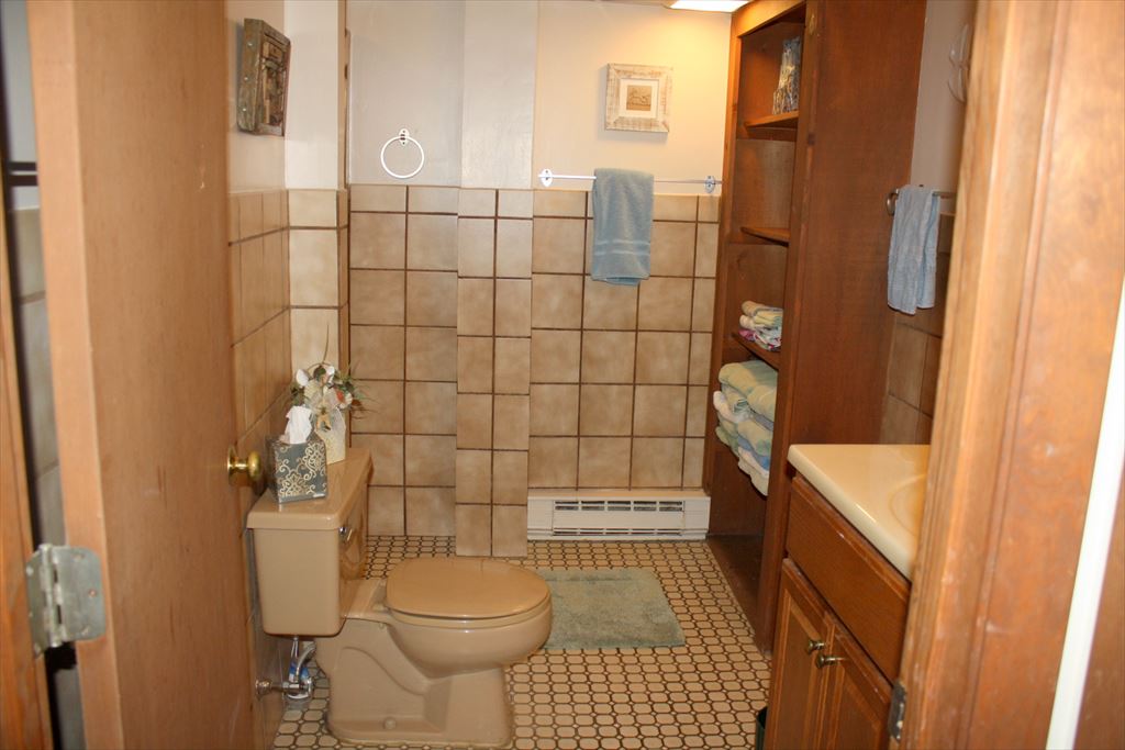 Lower Level Bathroom