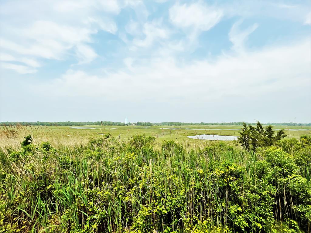 402 Saint James Place | Photo 35