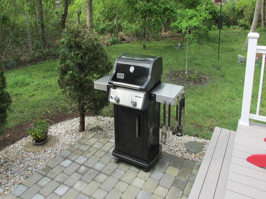 New Gas Grill