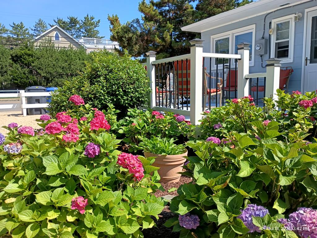 201 Chatsworth Avenue, Beach Haven (Ocean Side)