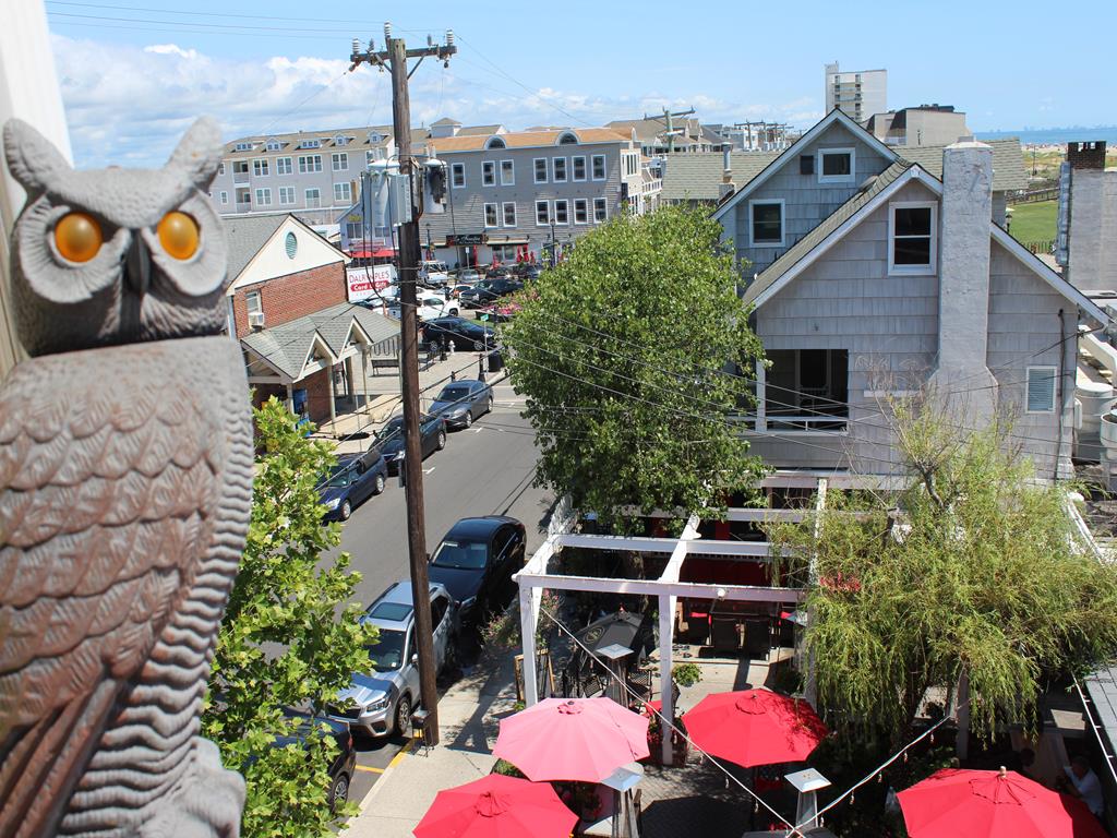 17 42nd Street, Sea Isle City (Beach Block)