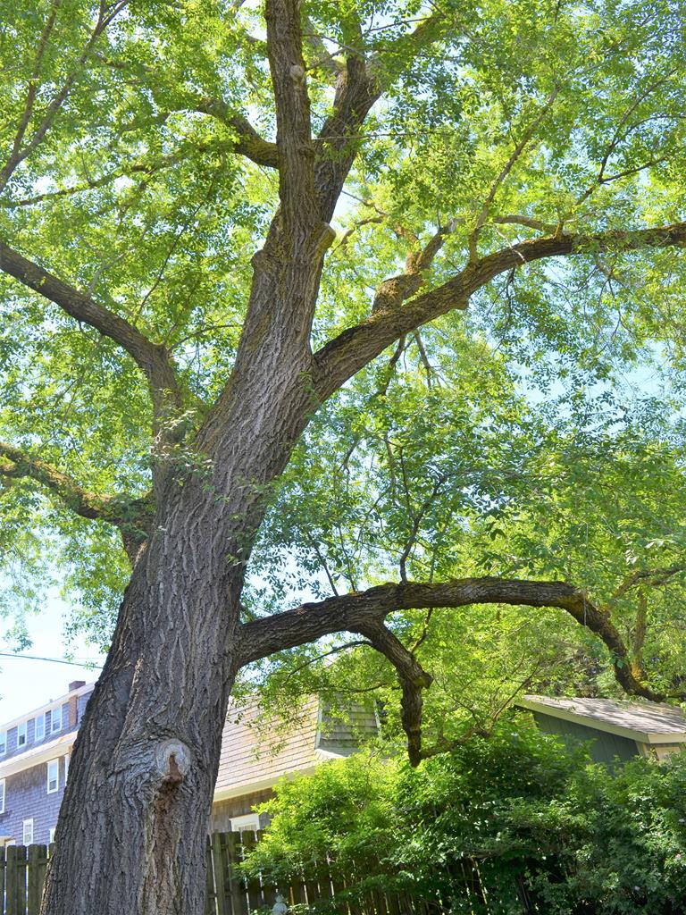 The Captains Cottage | Photo 17