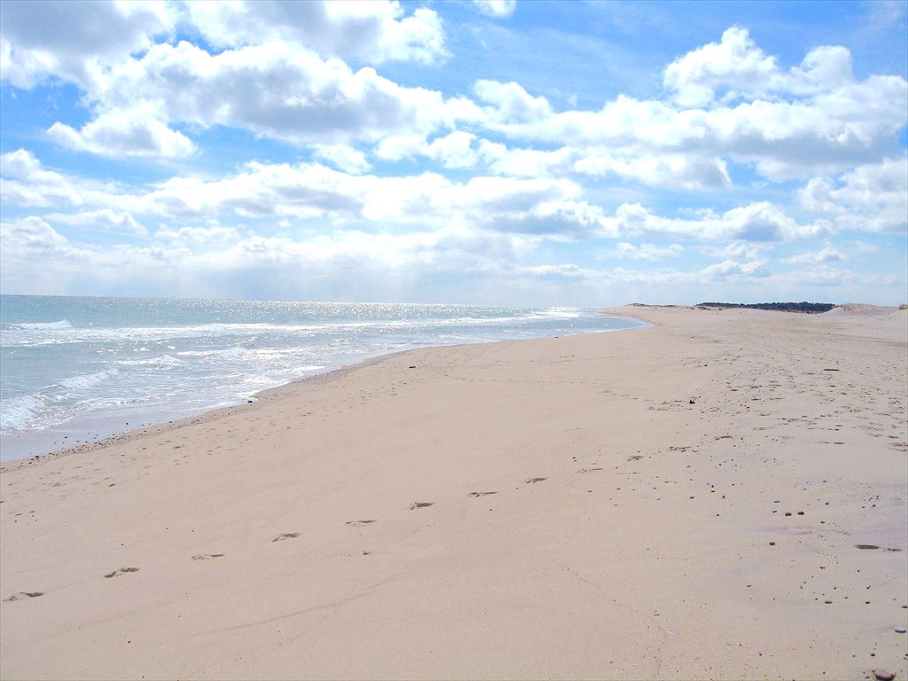 Another view of Nauset outer beach