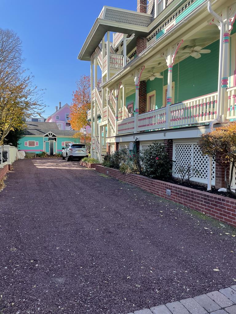 Merry Widow | Photo 3