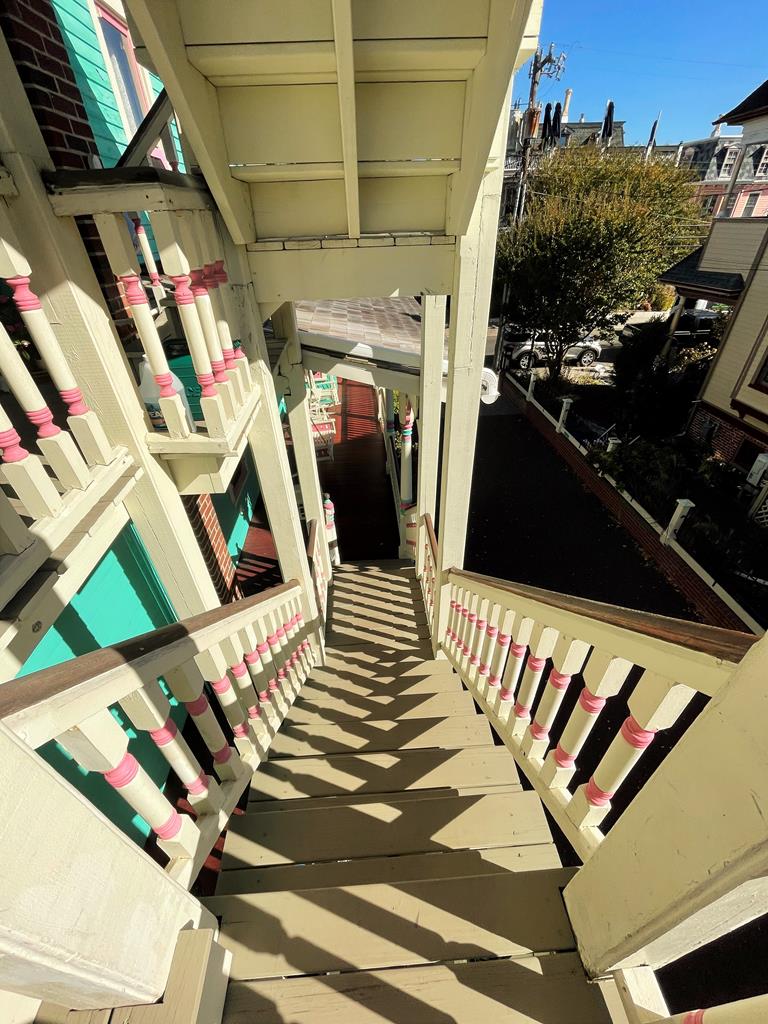 Merry Widow | Photo 15