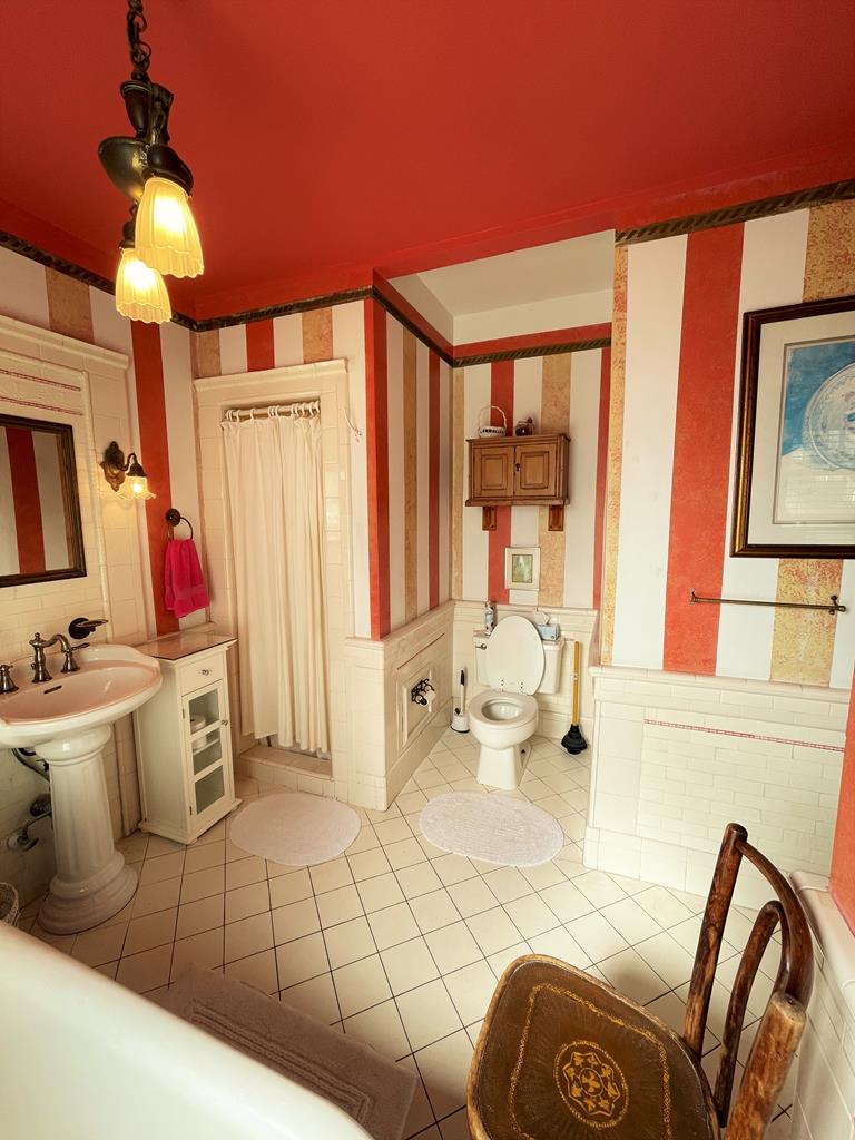 Merry Widow | Photo 6