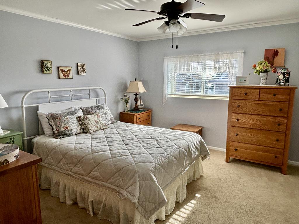 Cape Roc Unit 306 Beach Block | Photo 9