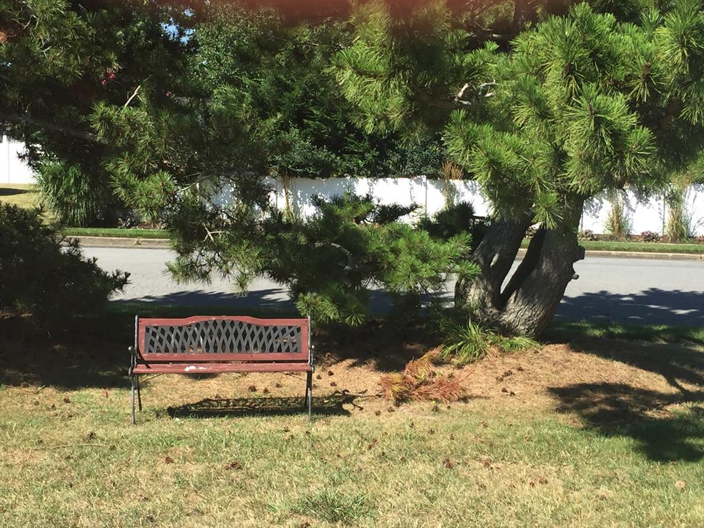 Cozy Twin | Photo 13