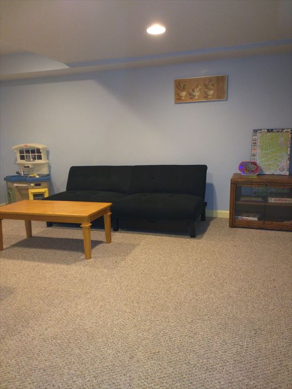 Futon in finished basement