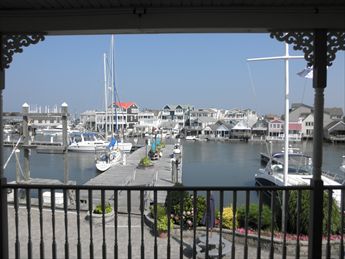 South Jersey Marina DOG FRIENDLY | Photo 18