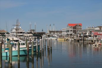 South Jersey Marina DOG FRIENDLY | Photo 23