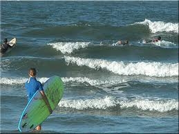 South Jersey Marina DOG FRIENDLY | Photo 25