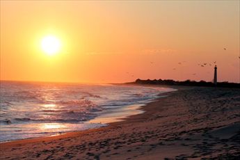 South Jersey Marina DOG FRIENDLY | Photo 27