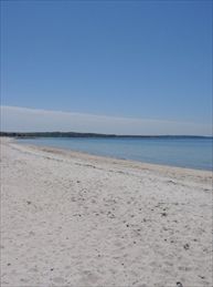 Chappaquoit Beach within a mile