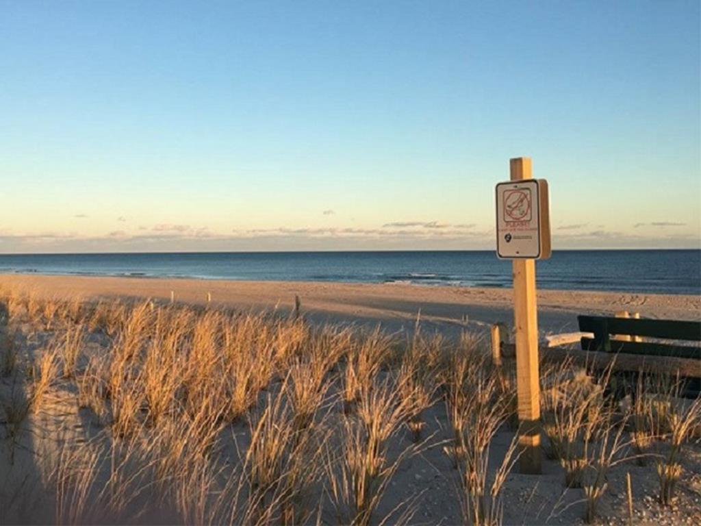 203 W 12th Street, Ship Bottom (Bay Side)