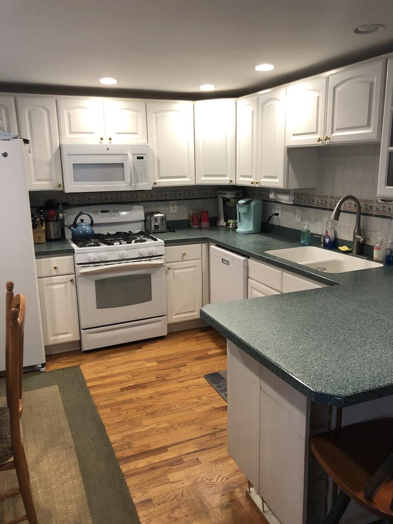 15 E. Muriel Avenue, Beach Haven Park (Ocean Side)
