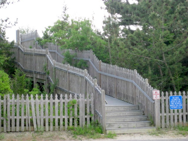 101 Whilldin Avenue | Photo 27