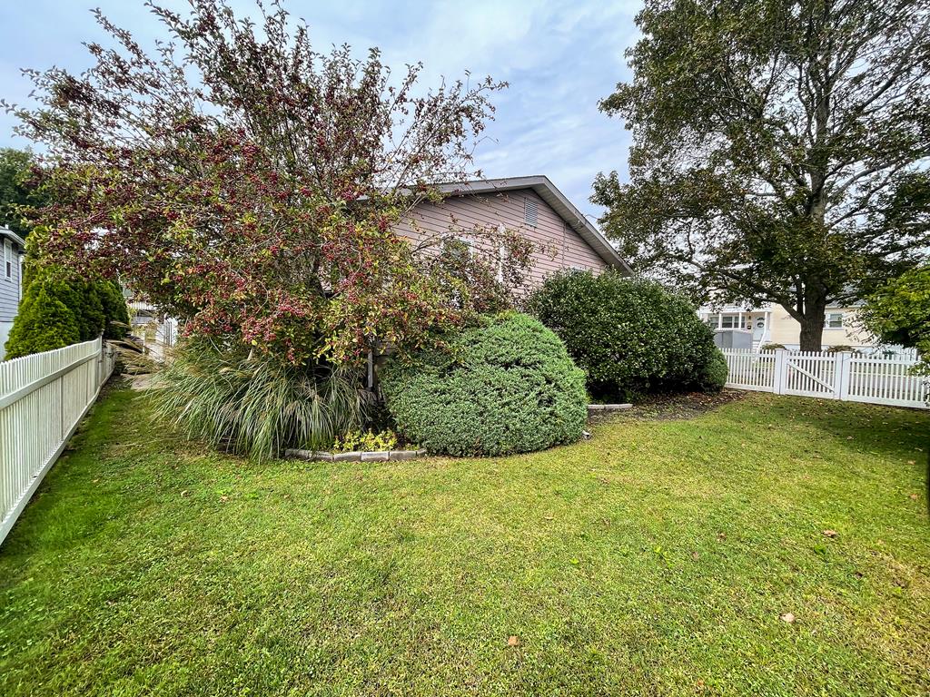 Jefferson Street Gem | Photo 35