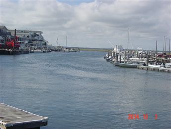 354 43rd Street, Sea Isle City (Bay Front)