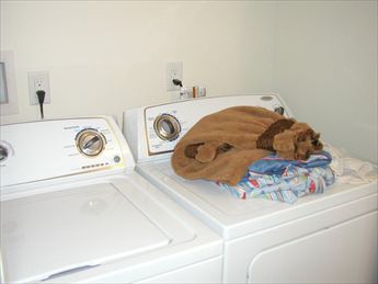 22 E New York Avenue (84th St), Brighton Beach (Ocean Side)