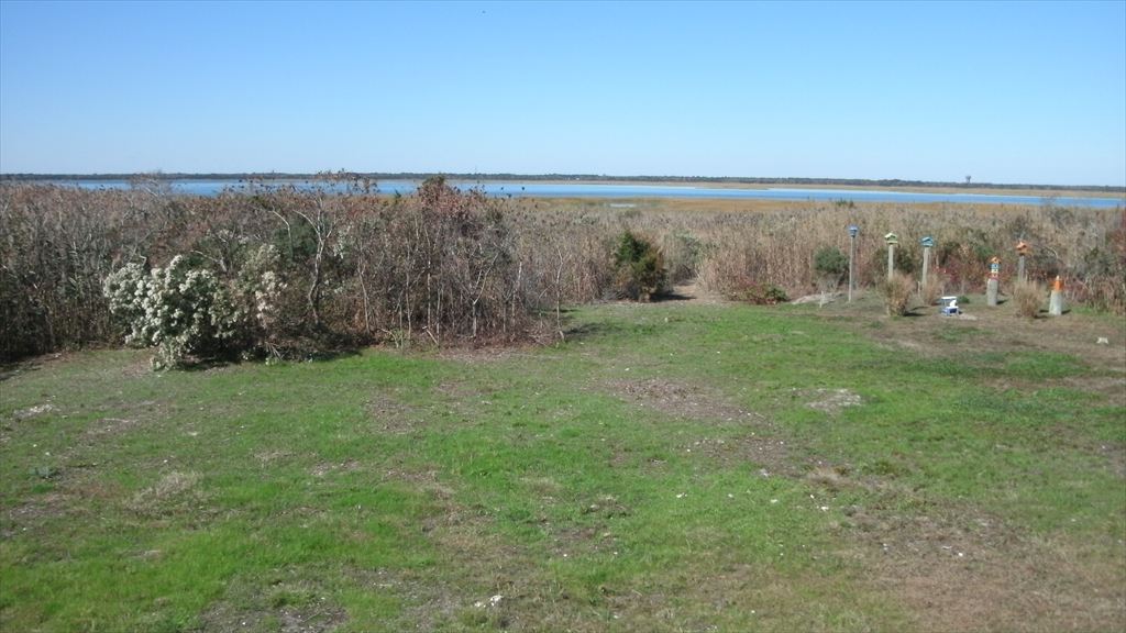 1204 Landis Avenue, Sea Isle City (Beach Front)
