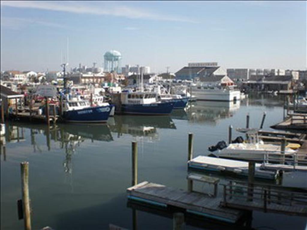 339 43rd Place, Sea Isle City (Bay Front)