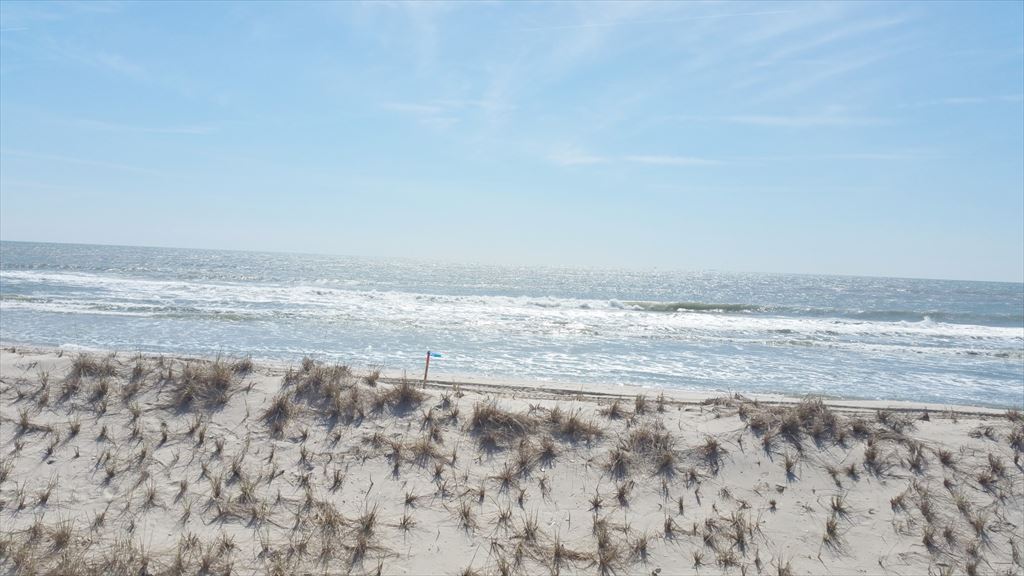 214 Kentford Avenue, Beach Haven (Ocean Front)