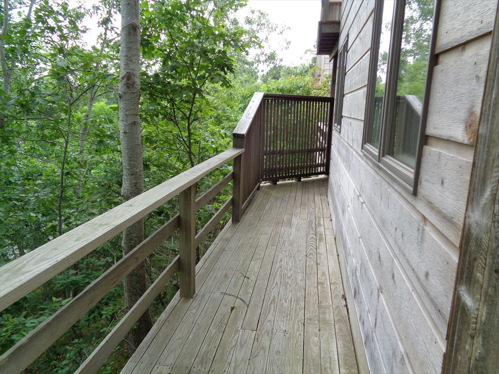 WalkWay Around The Back Of The House