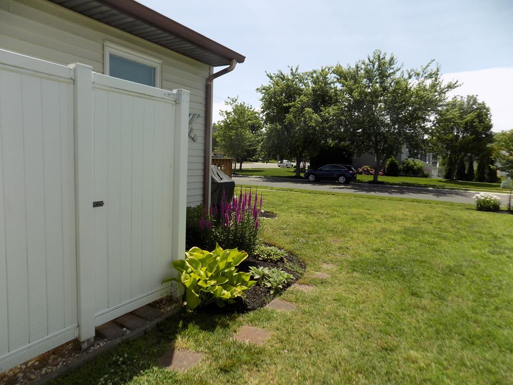 COMFORTABLE PET FRIENDLY TWIN | Photo 19