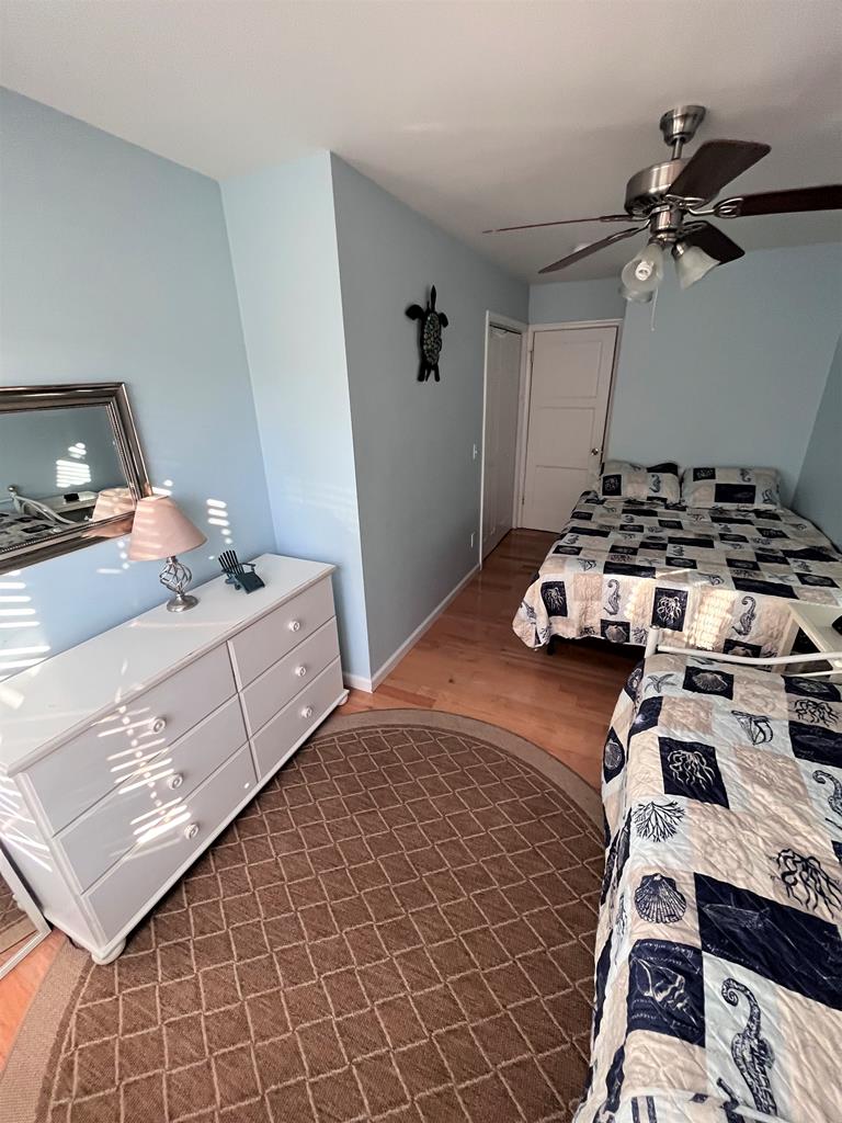 The Sea Turtle | Photo 15