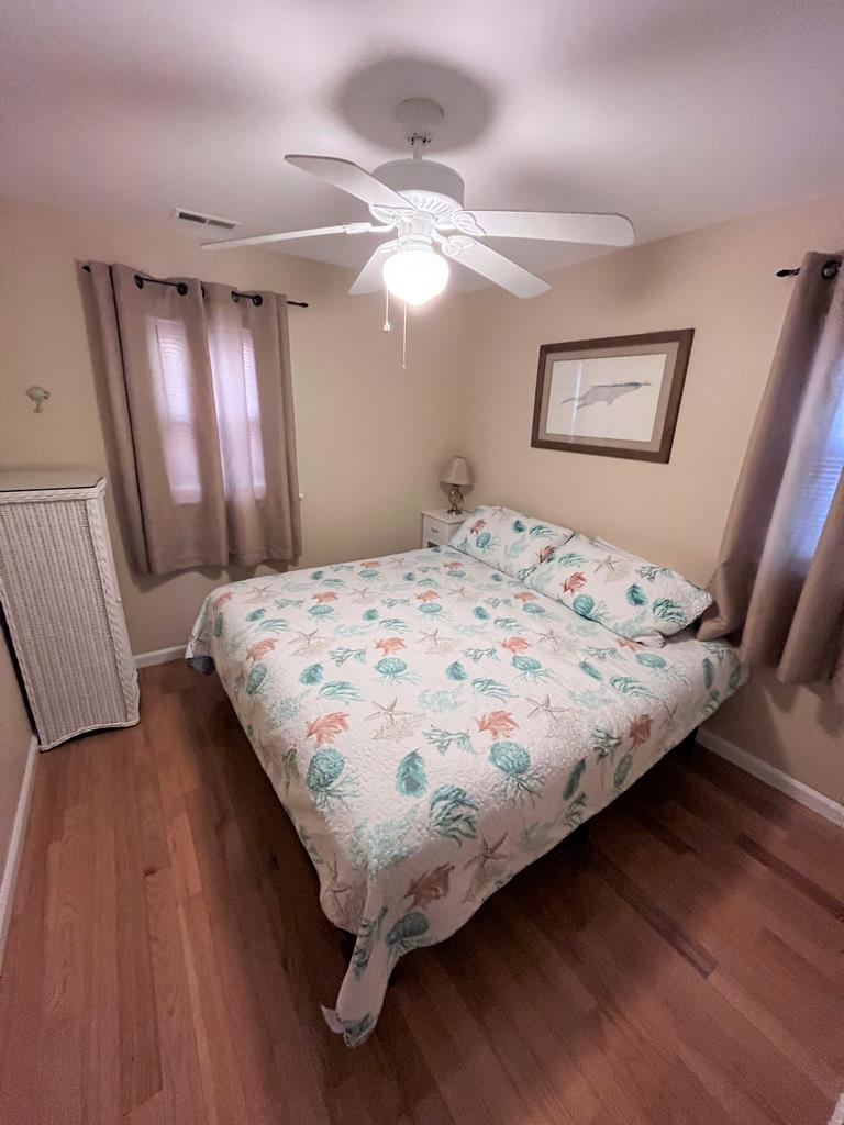 The Sea Turtle | Photo 17