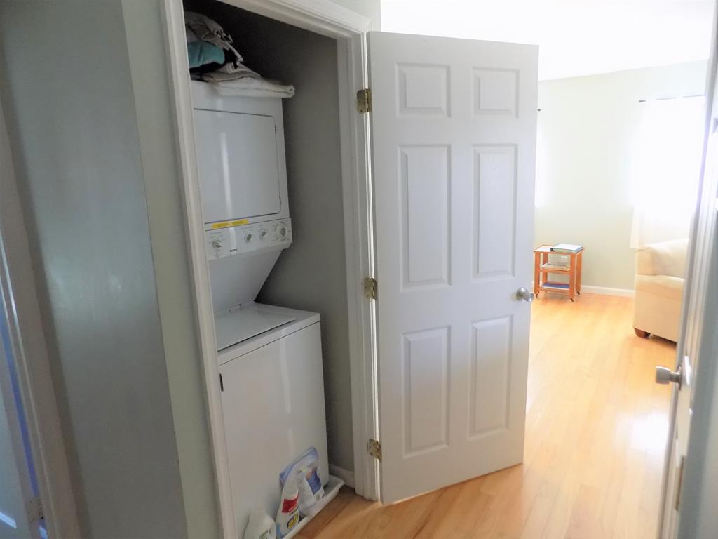 The Sea Turtle | Photo 20