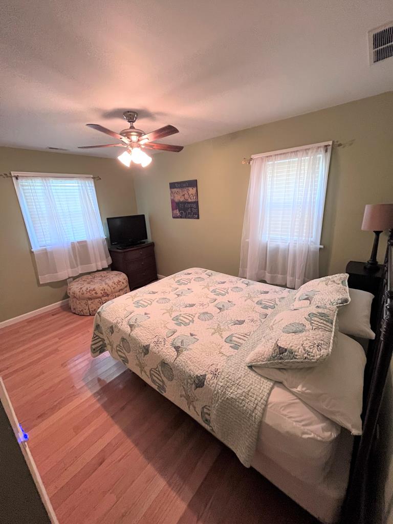 The Sea Turtle | Photo 21