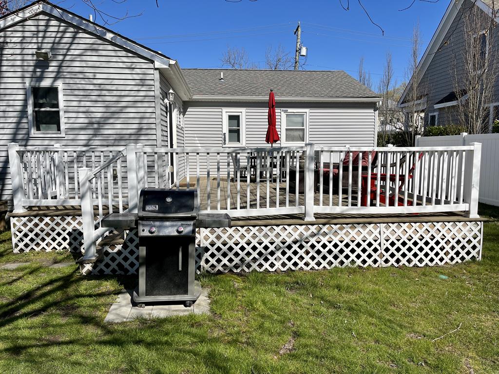 The Sea Turtle | Photo 23