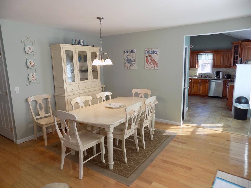 The Sea Turtle | Photo 11