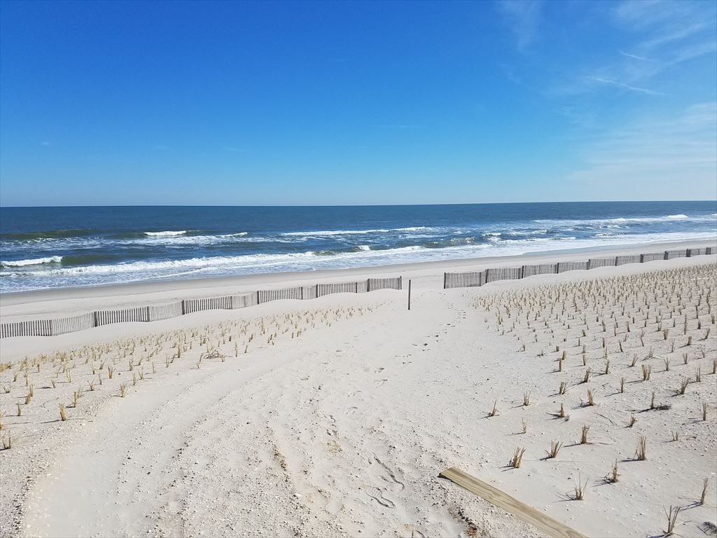 4103 S Long Beach Boulevard, Holgate (Ocean Front)