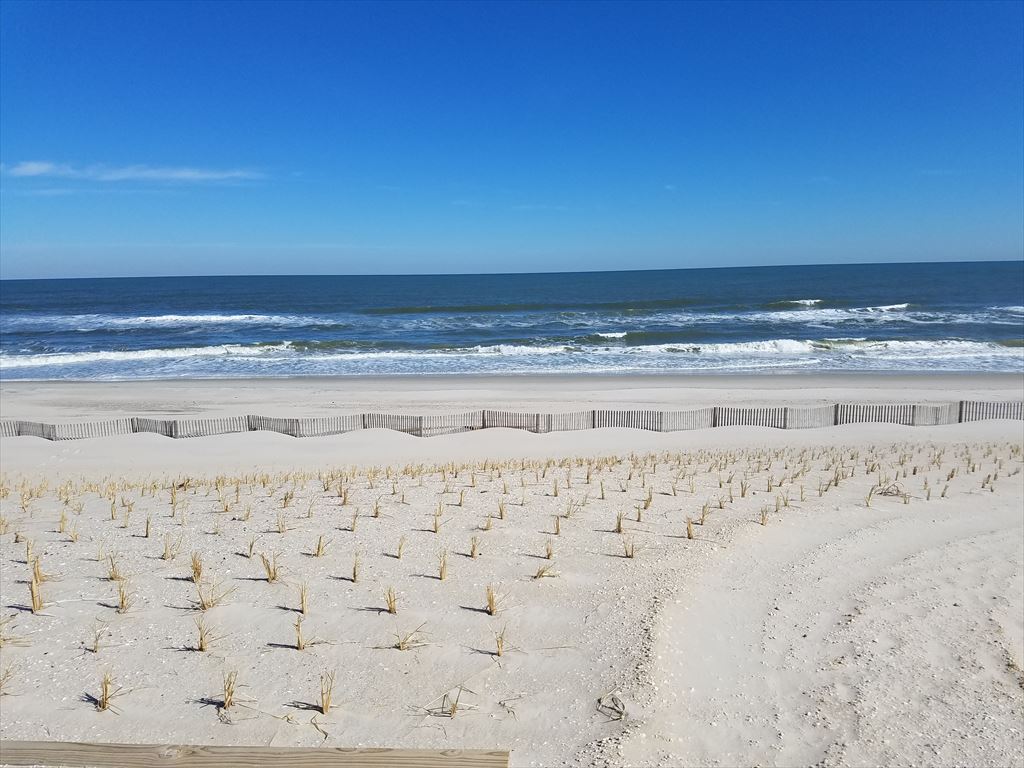 4103 S Long Beach Boulevard, Holgate (Ocean Front)