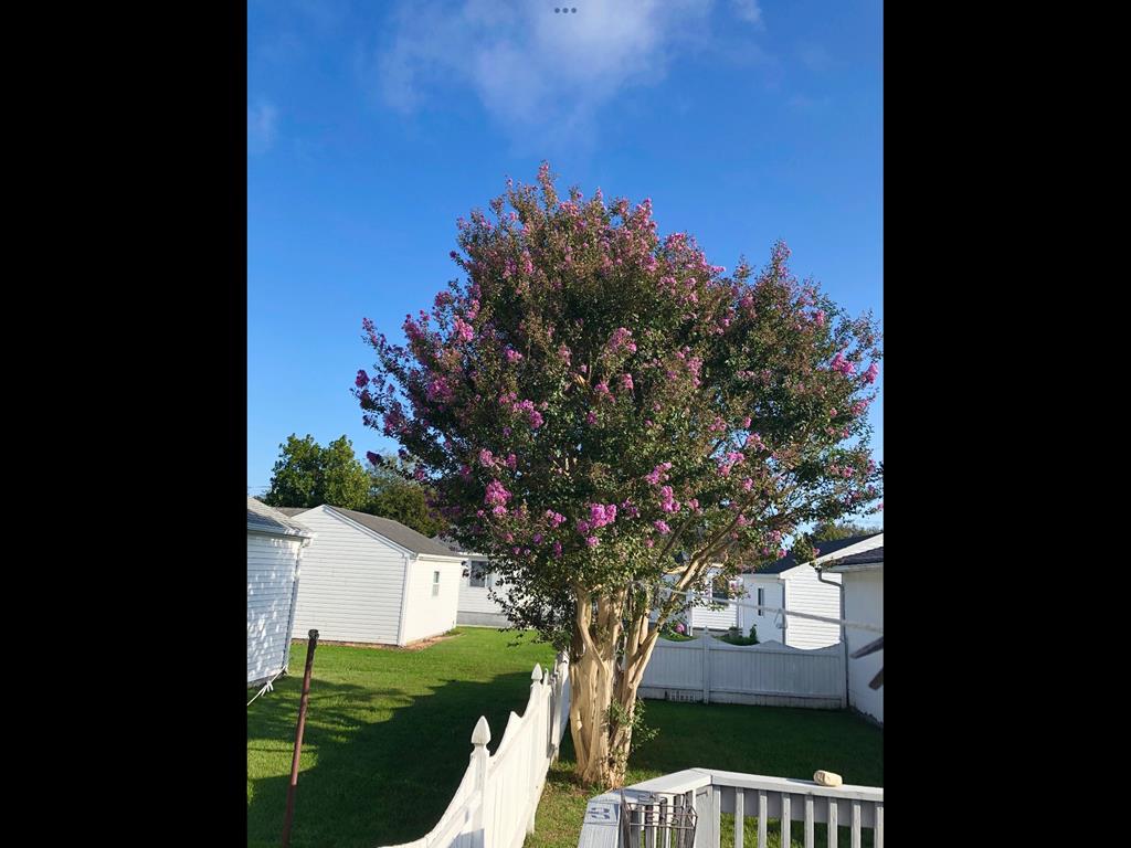 Village Green Twin - Virginia Ave | Photo 18