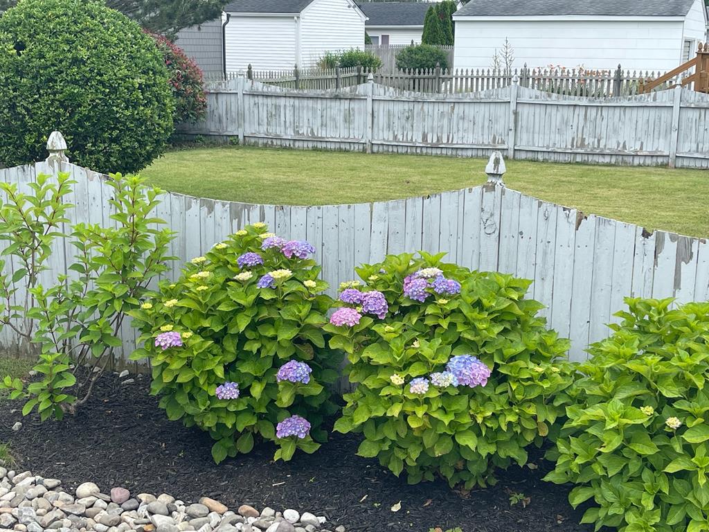 Village Green Twin - Virginia Ave | Photo 23