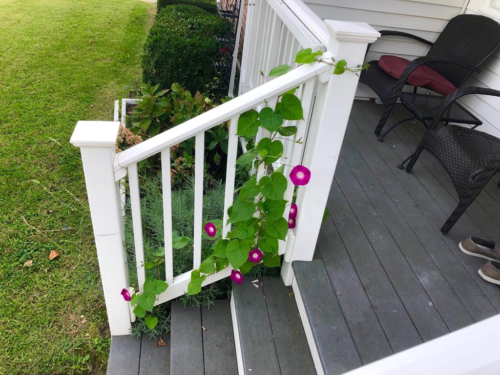 Village Green Twin - Virginia Ave | Photo 25