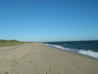 NEARBY SOUTH CAPE BEACH