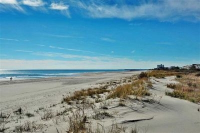 2305 Landis Avenue, Sea Isle City (Beach Front)