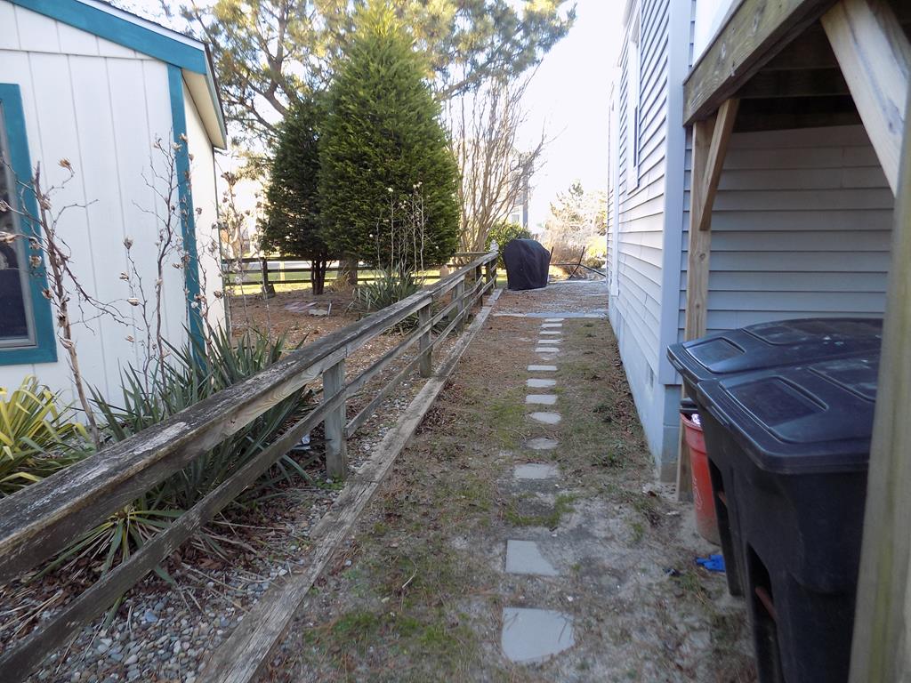 Salt Water Taffy | Photo 18