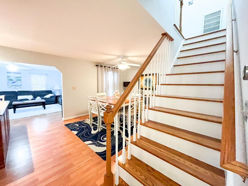 Life s A Beach | Photo 7