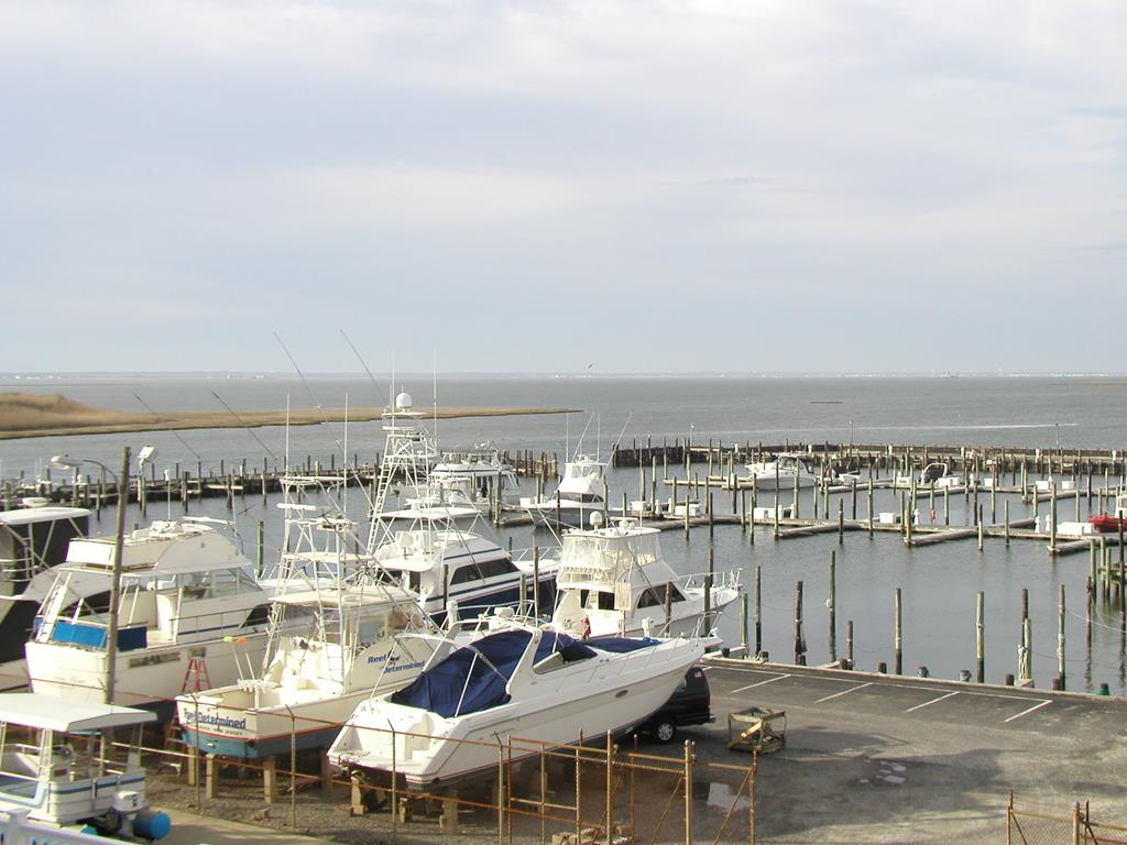 505 Dock Road, Beach Haven (Bay Side)