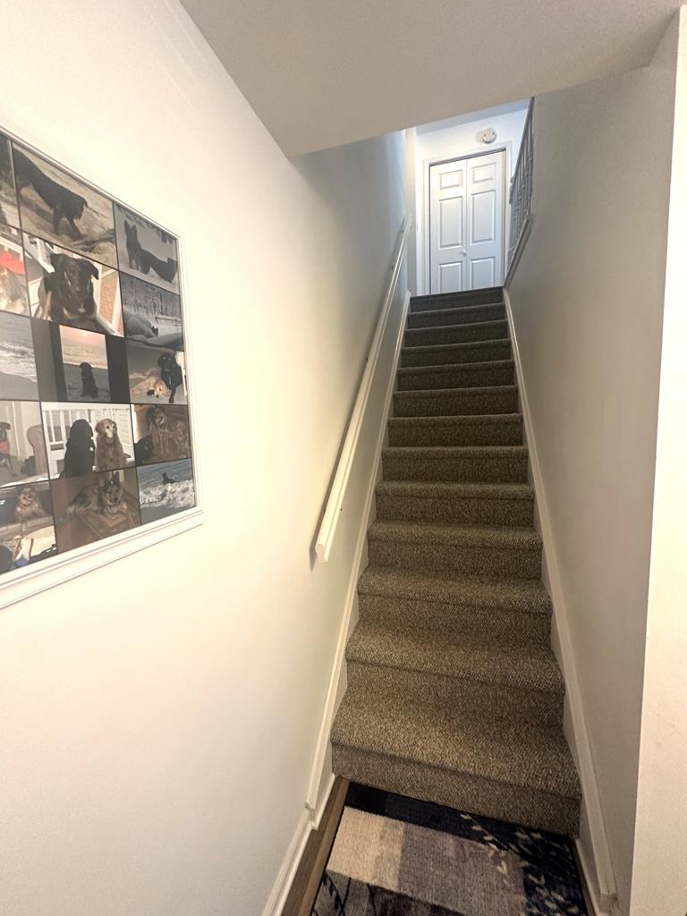 933 Columbia Avenue, Unit B3 - Columbia Gardens | Photo 6